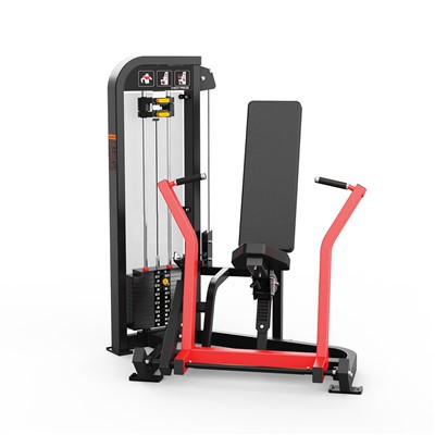 Sesila Brusta Gazetaro